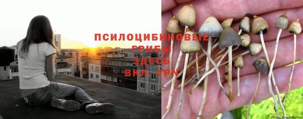синтетический гашиш Белоозёрский