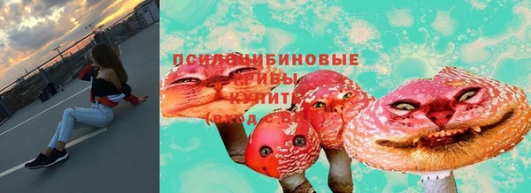 дмт Белокуриха